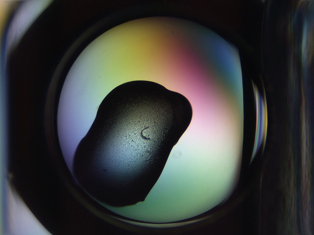065l_E1_ImagerDefaults_3.jpg
