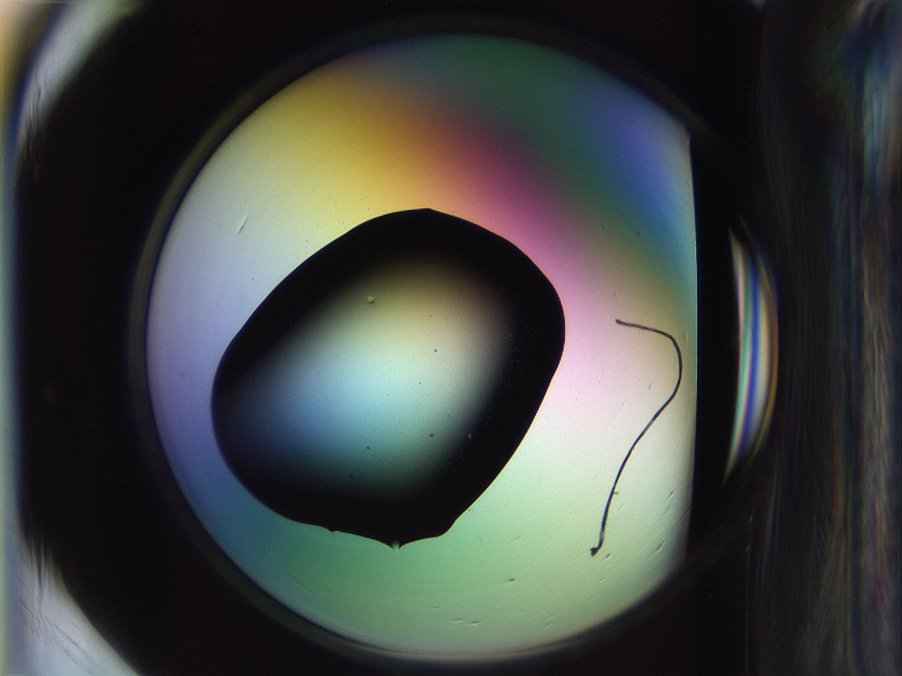 065l_F1_ImagerDefaults_1.jpg