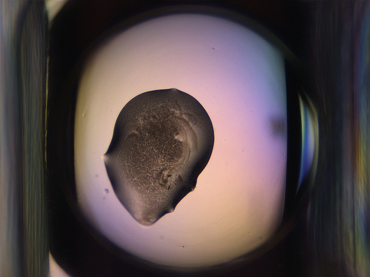 065l_F5_ImagerDefaults_3.jpg