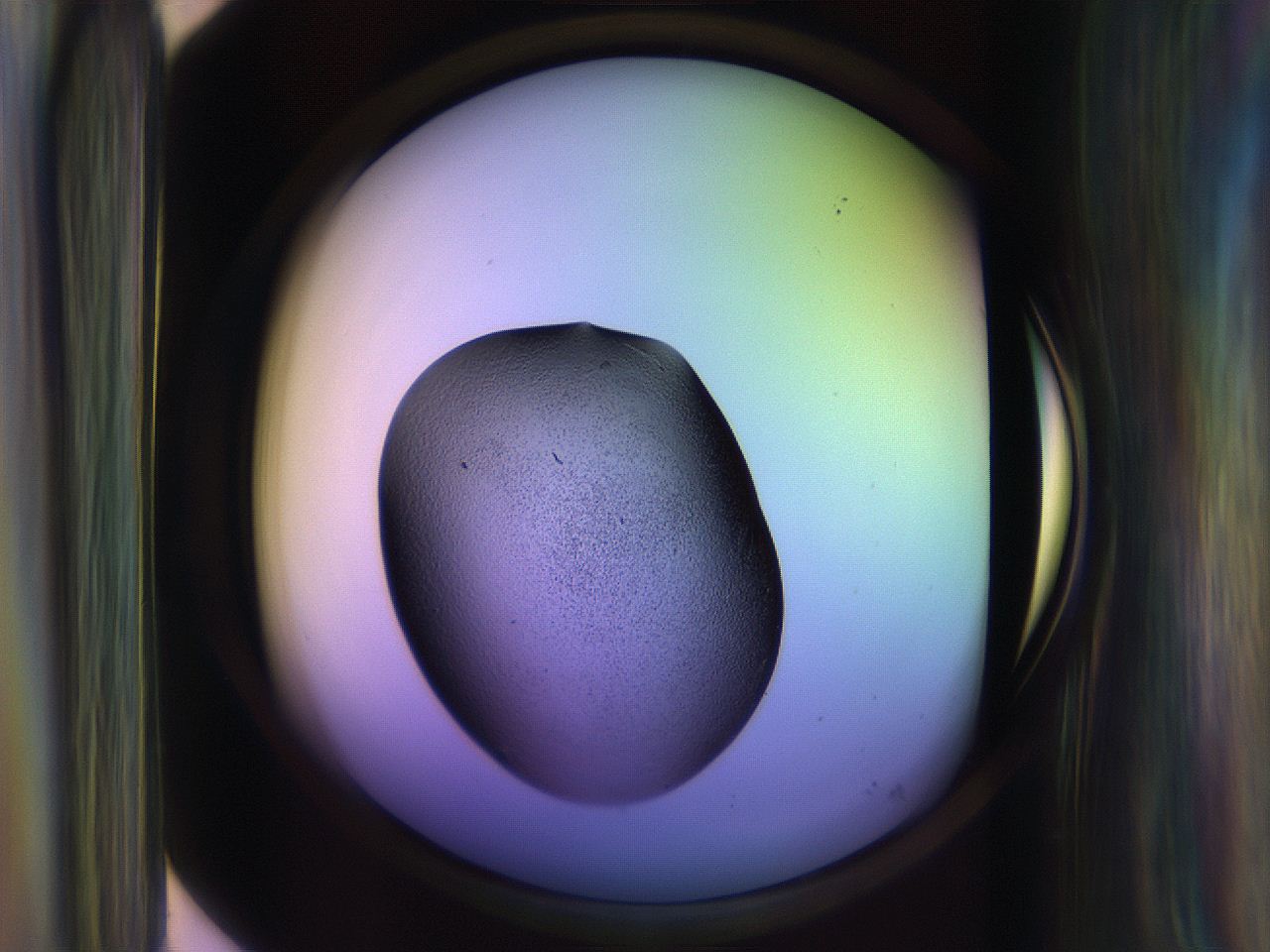 065l_F8_ImagerDefaults_3.jpg