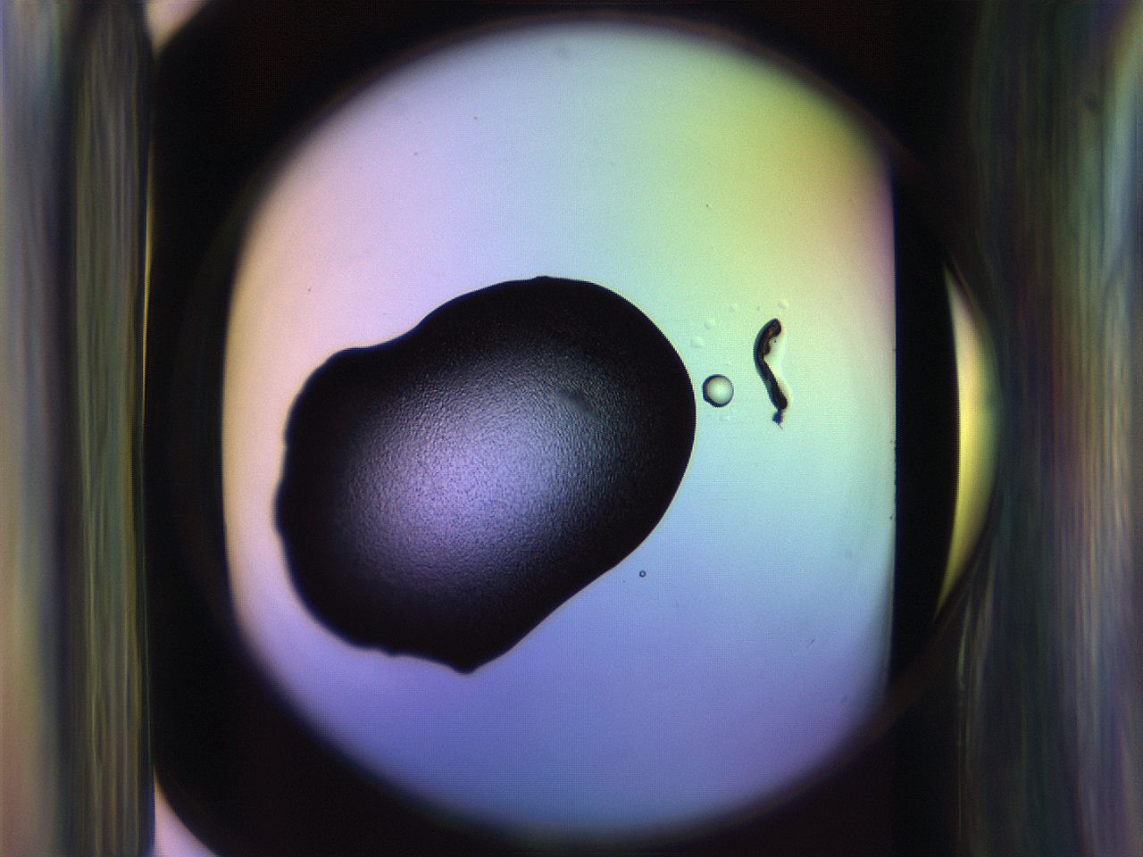 065l_F9_ImagerDefaults_3.jpg