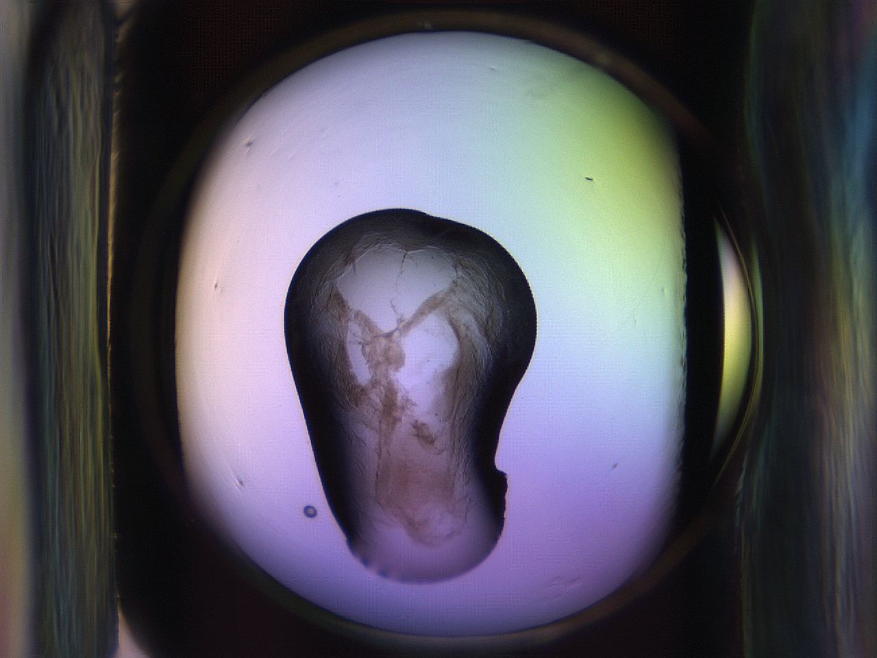 065l_G7_ImagerDefaults_3.jpg