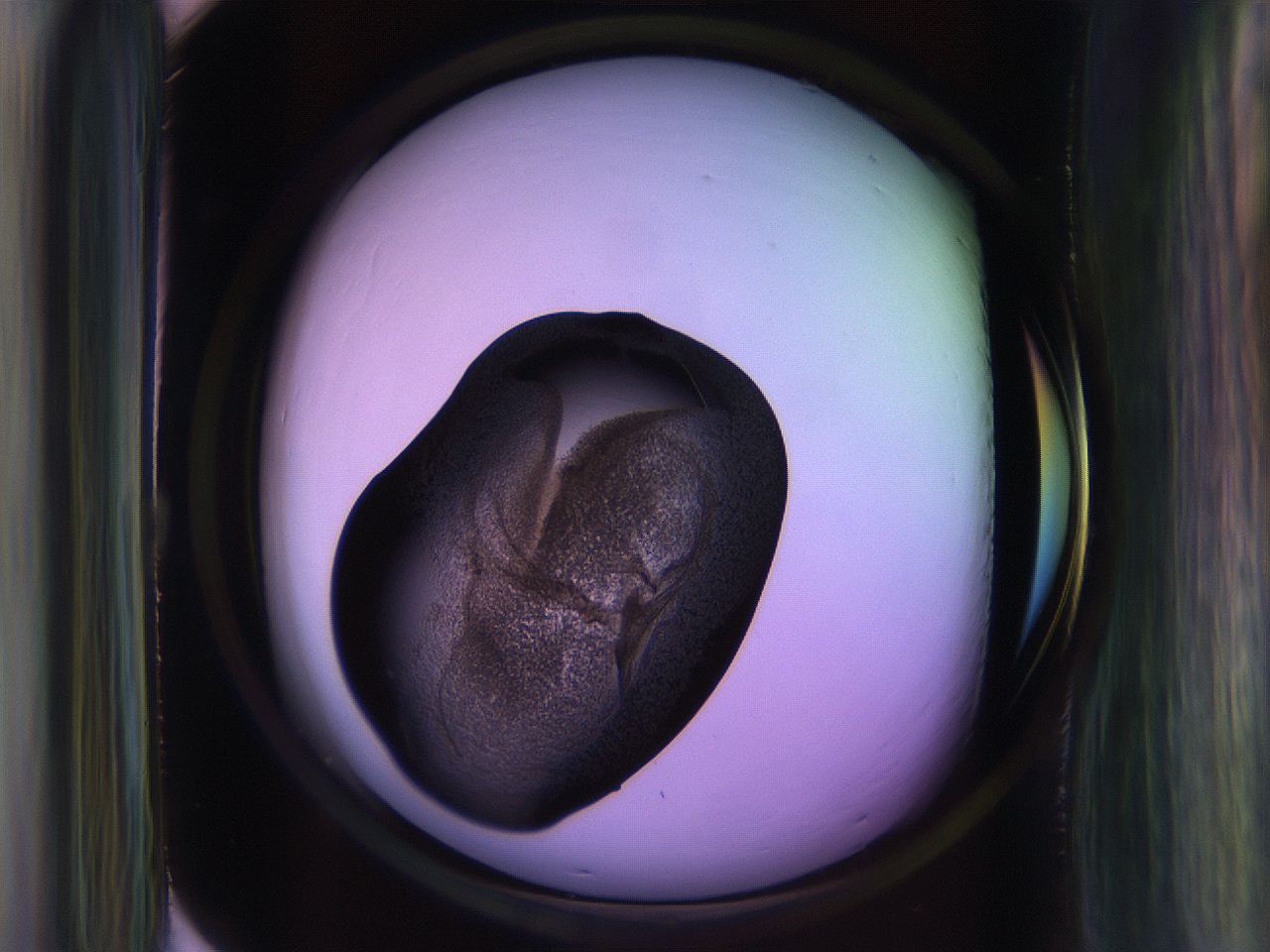 065l_G10_ImagerDefaults_3.jpg