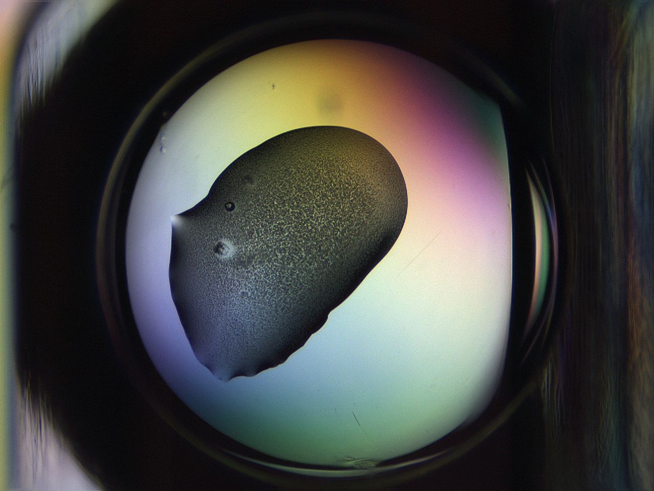 065l_H1_ImagerDefaults_3.jpg