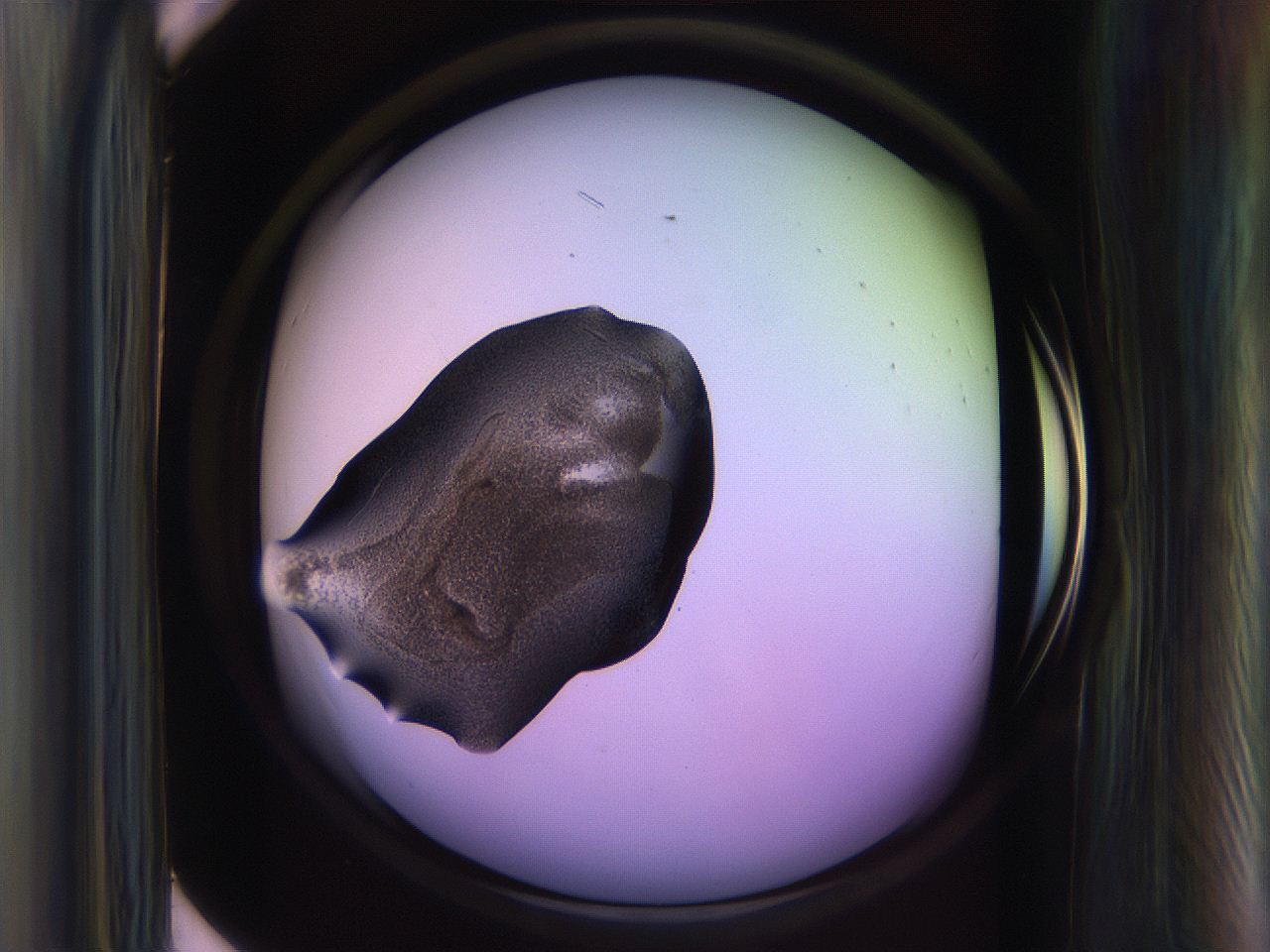 065l_H7_ImagerDefaults_3.jpg