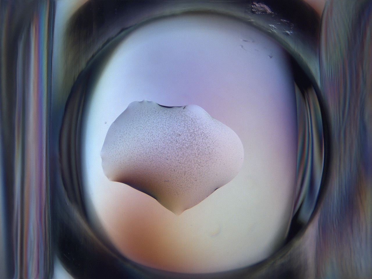 065m_D11_ImagerDefaults_3.jpg