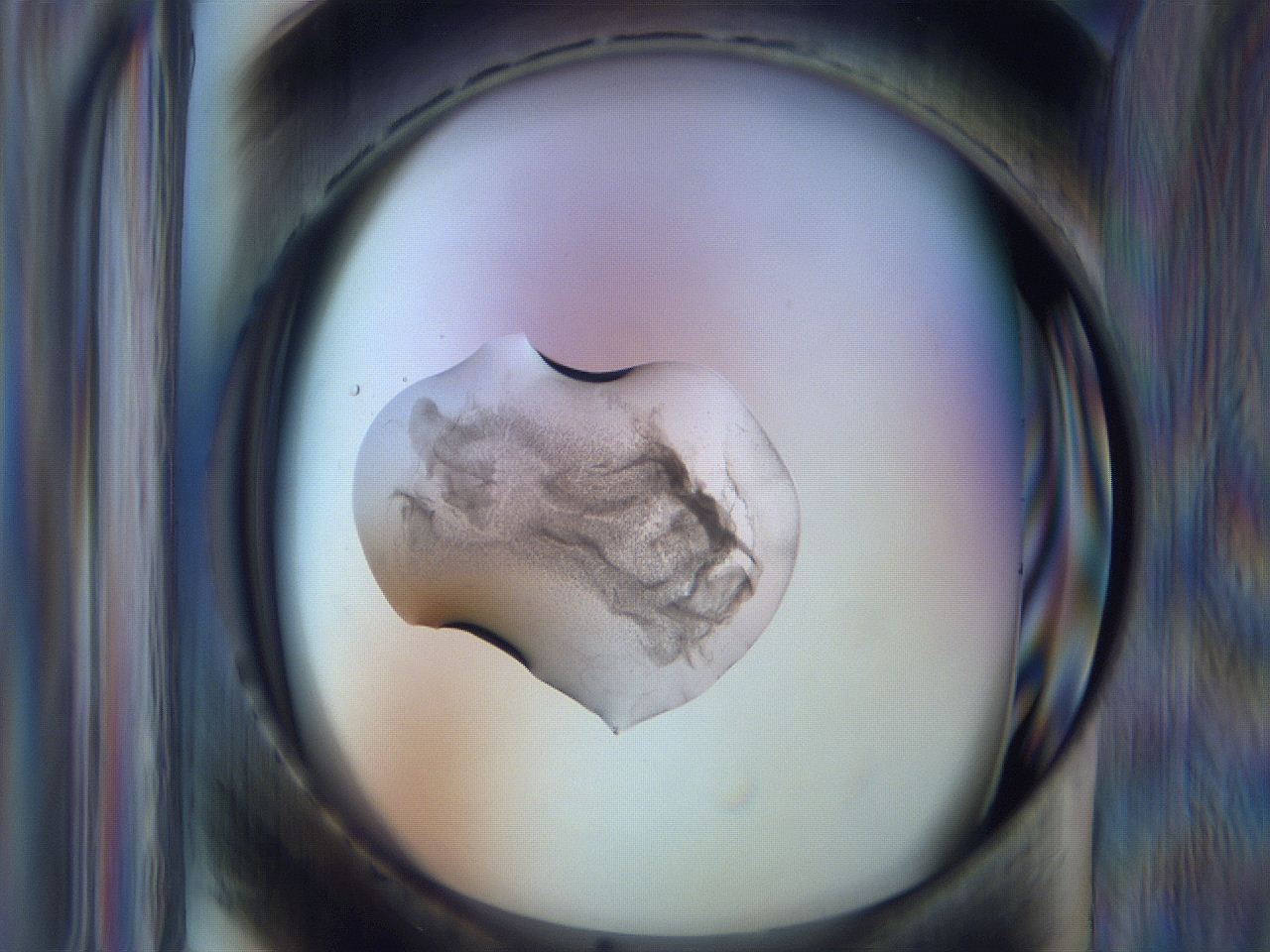 065m_D12_ImagerDefaults_3.jpg