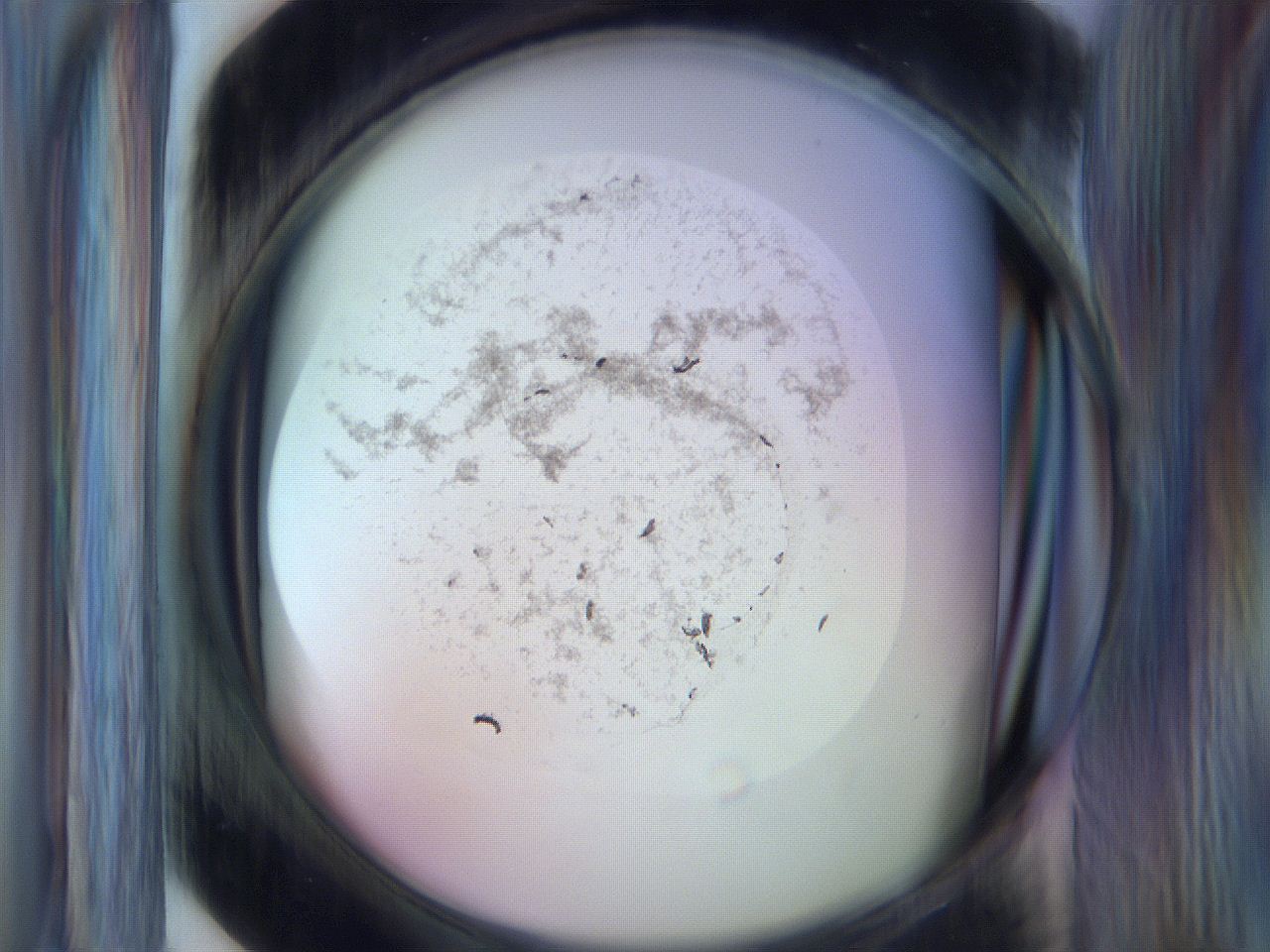 065m_F6_ImagerDefaults_3.jpg