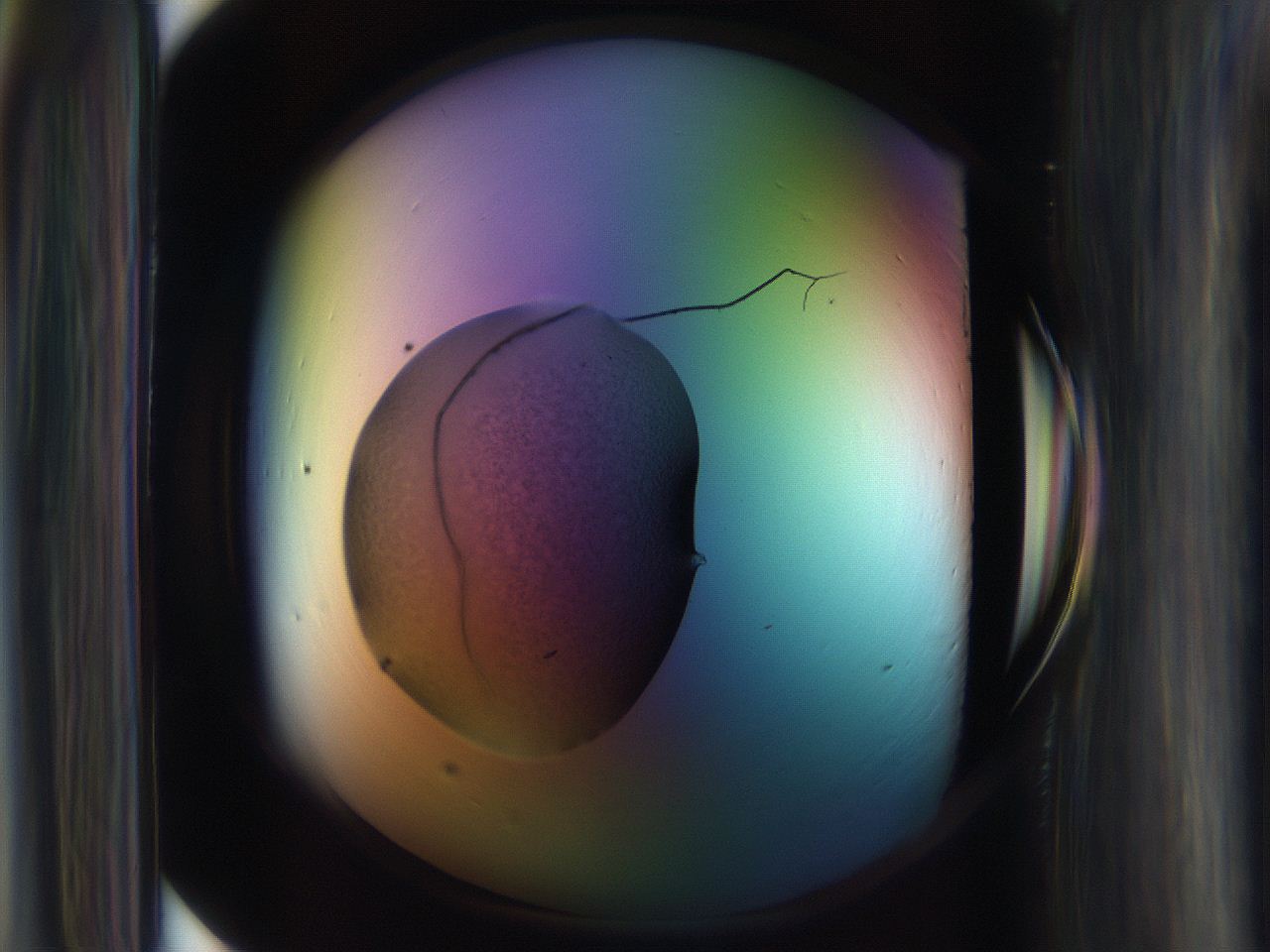 065n_C9_ImagerDefaults_3.jpg