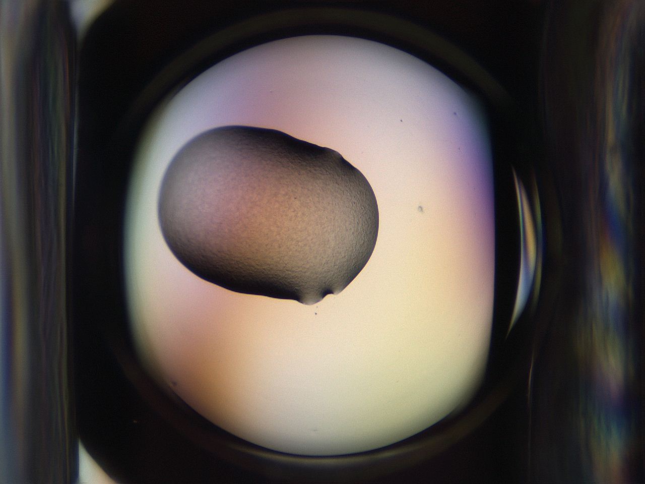 065n_D4_ImagerDefaults_3.jpg