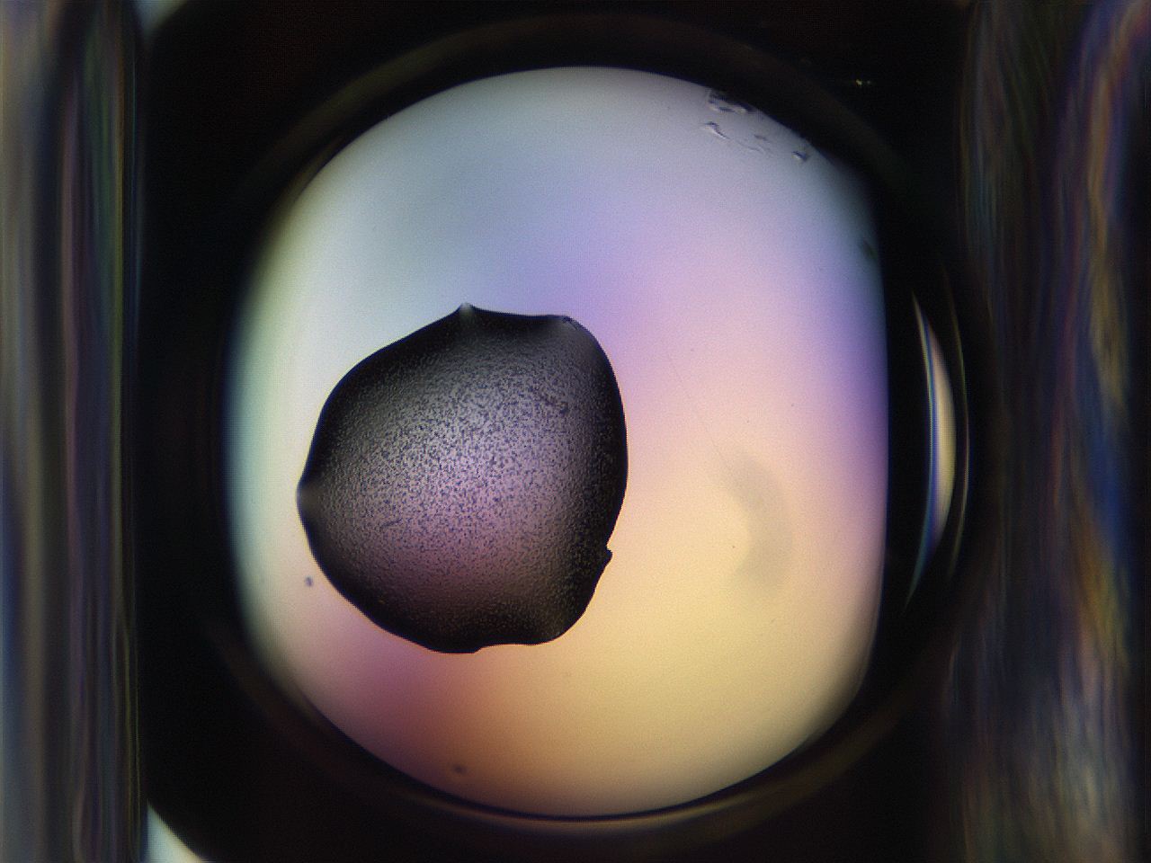 065n_D11_ImagerDefaults_3.jpg