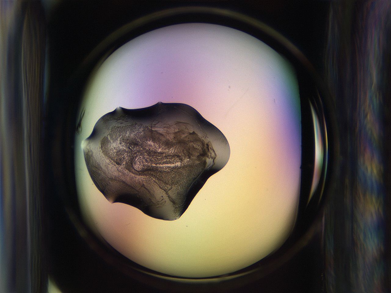 065n_D12_ImagerDefaults_3.jpg