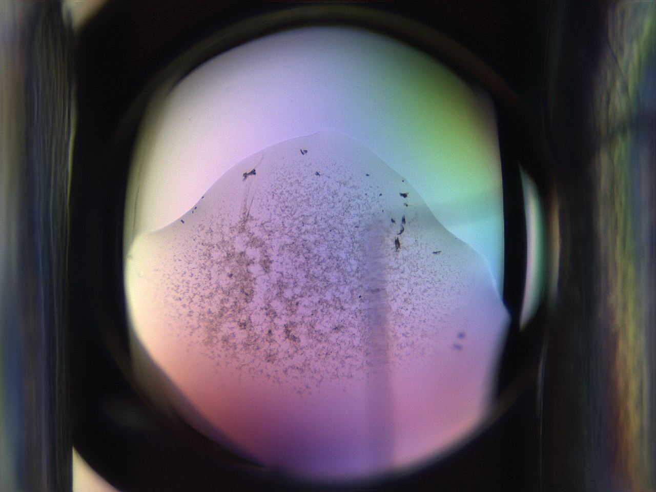065n_E2_ImagerDefaults_3.jpg