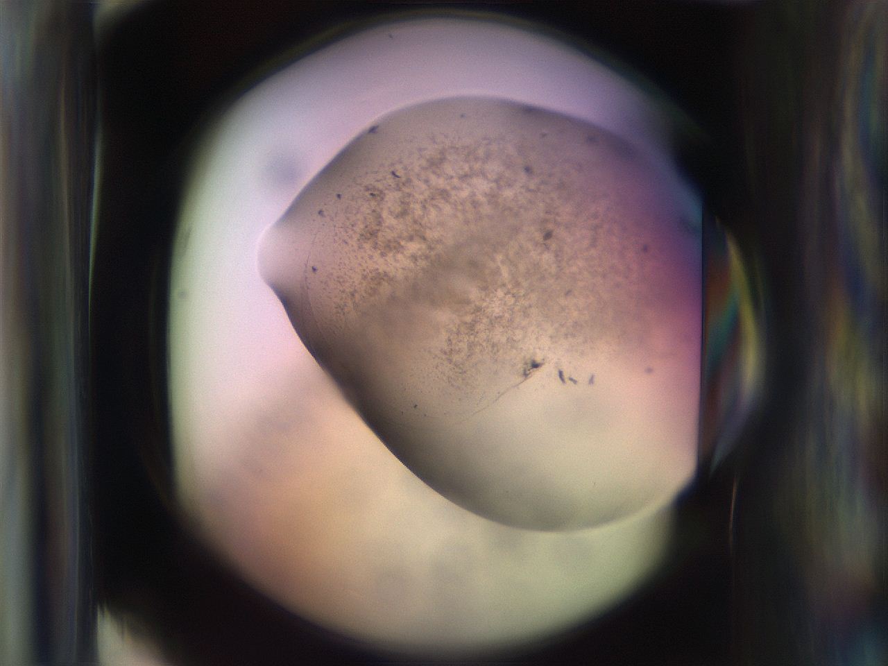 065n_E4_ImagerDefaults_3.jpg