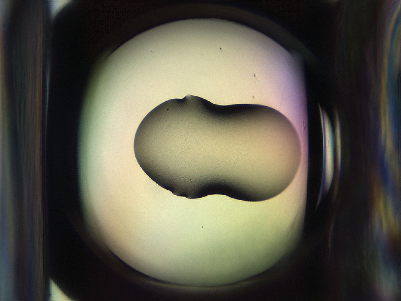 065n_E5_ImagerDefaults_3.jpg
