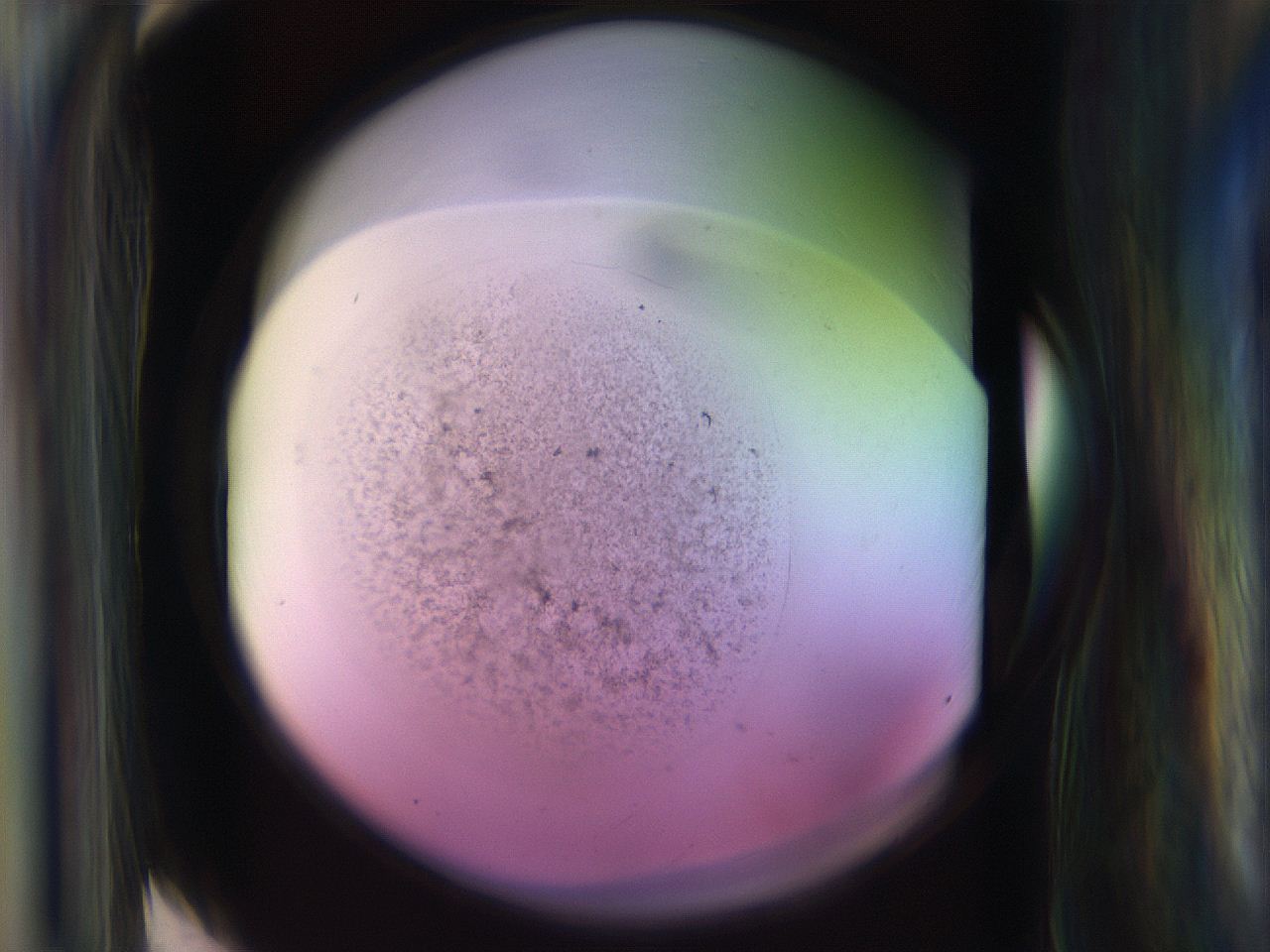 065n_F3_ImagerDefaults_3.jpg