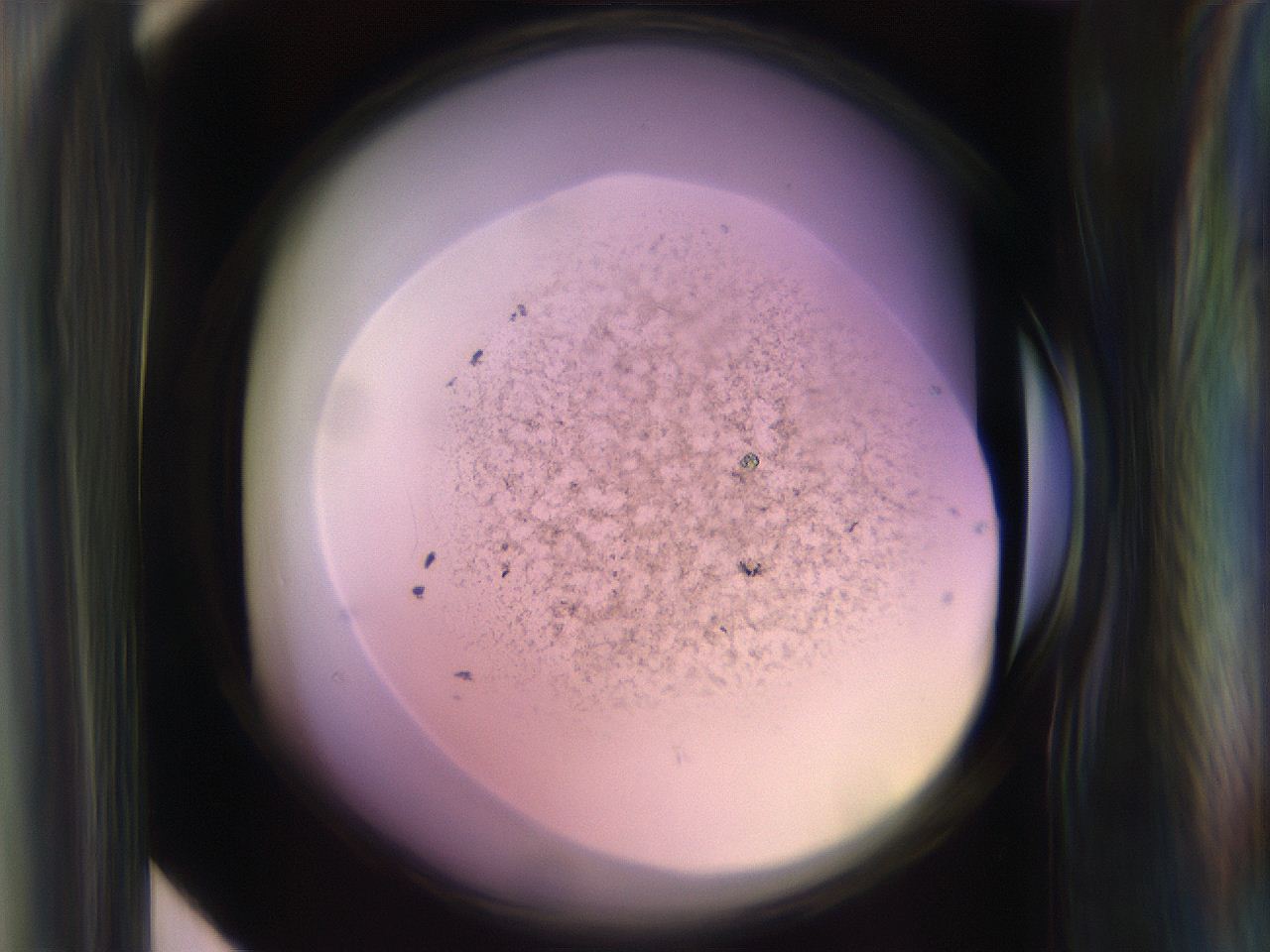 065n_F4_ImagerDefaults_3.jpg