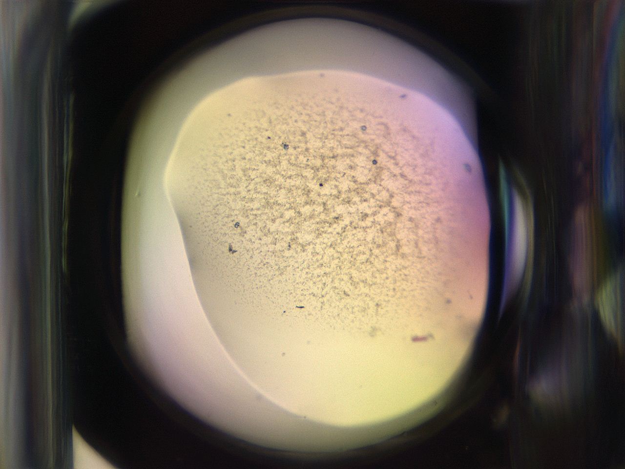065n_F5_ImagerDefaults_3.jpg