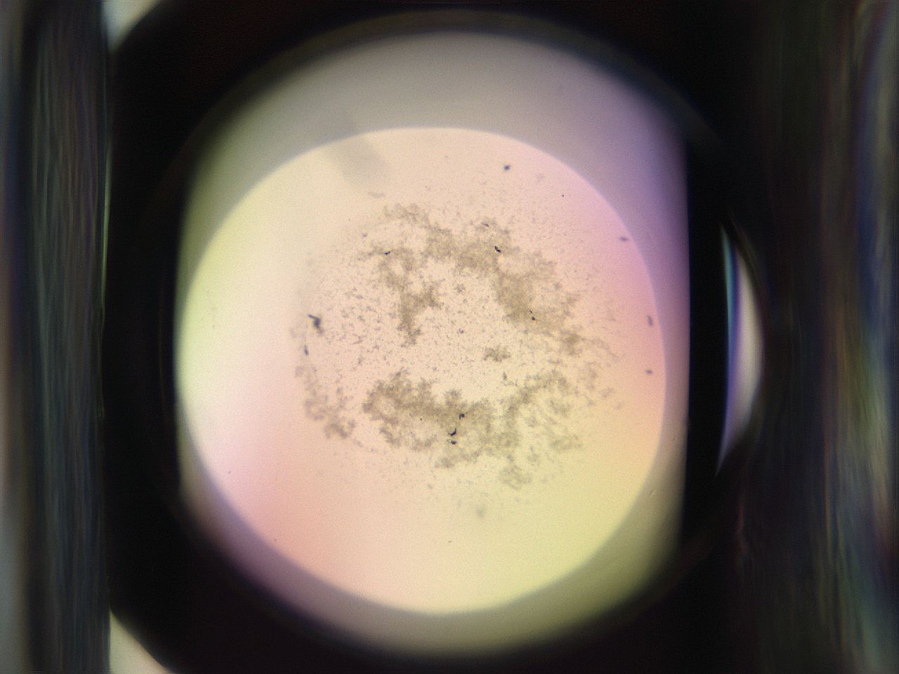 065n_F6_ImagerDefaults_3.jpg