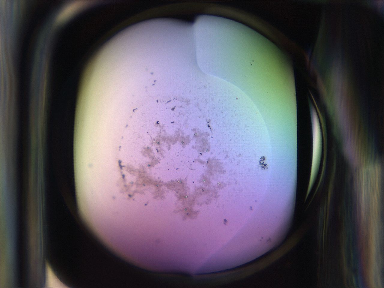 065n_F8_ImagerDefaults_9.jpg
