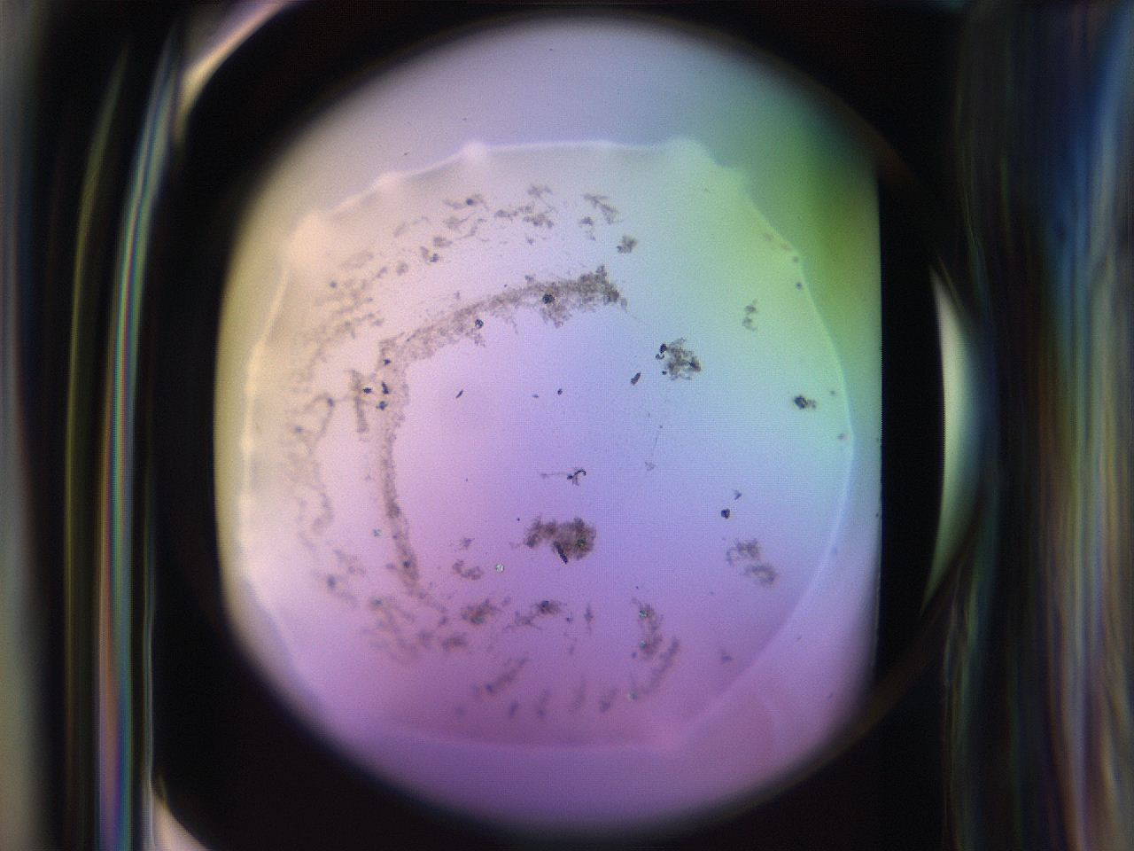 065n_F9_ImagerDefaults_9.jpg