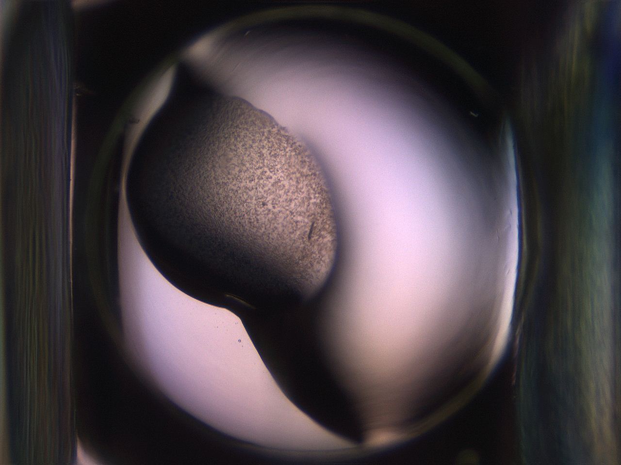 065n_G4_ImagerDefaults_3.jpg