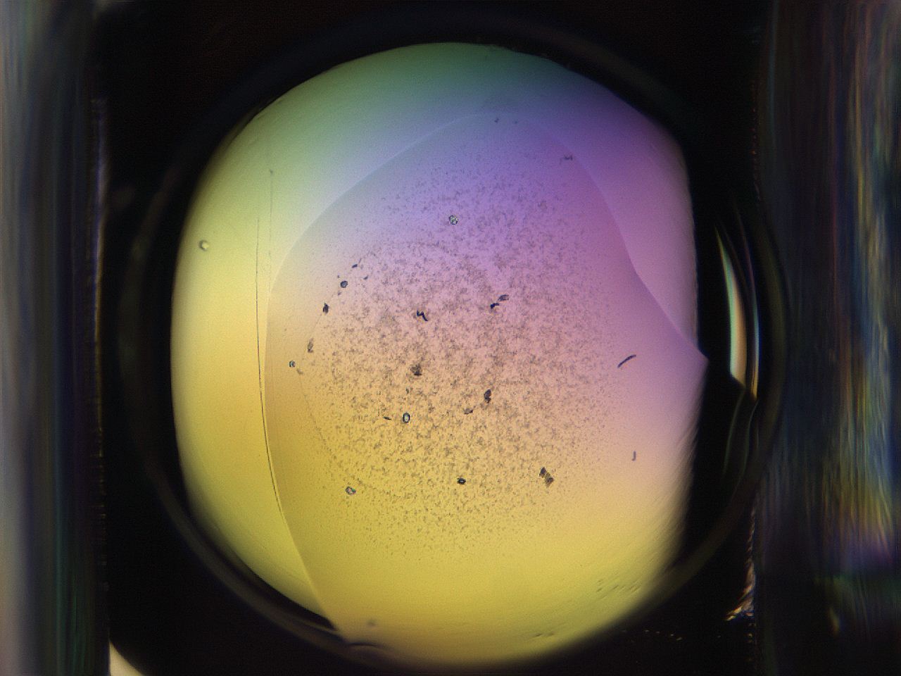 065n_G12_ImagerDefaults_9.jpg