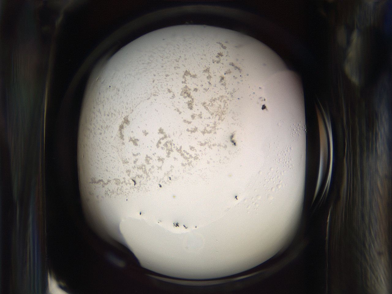 065n_H5_ImagerDefaults_9.jpg
