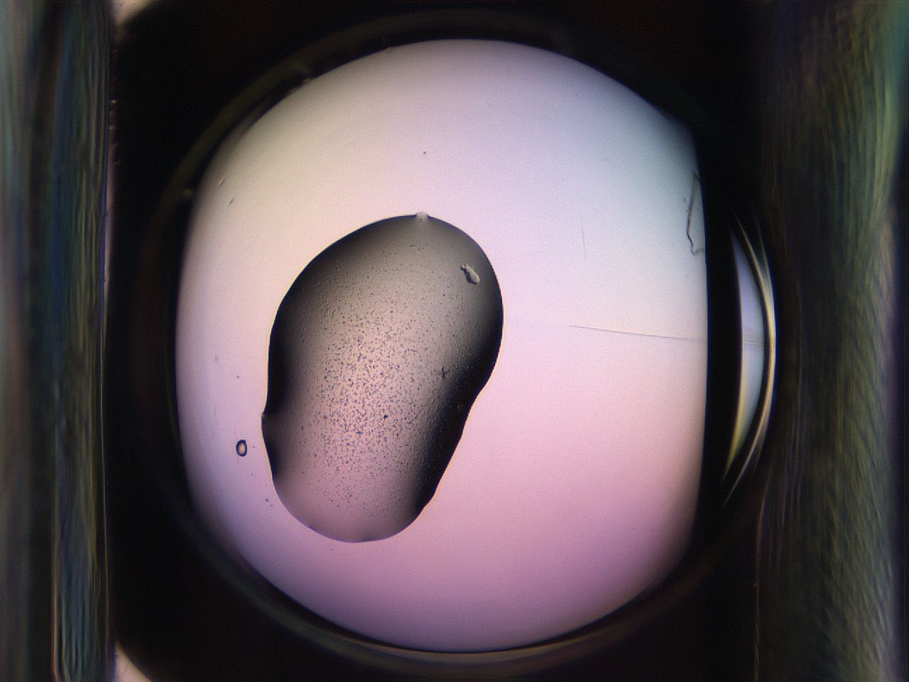 065n_H11_ImagerDefaults_3.jpg