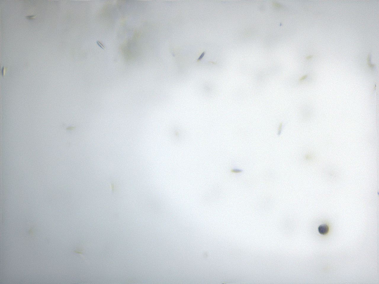 065x_A11_ImagerDefaults_9.jpg