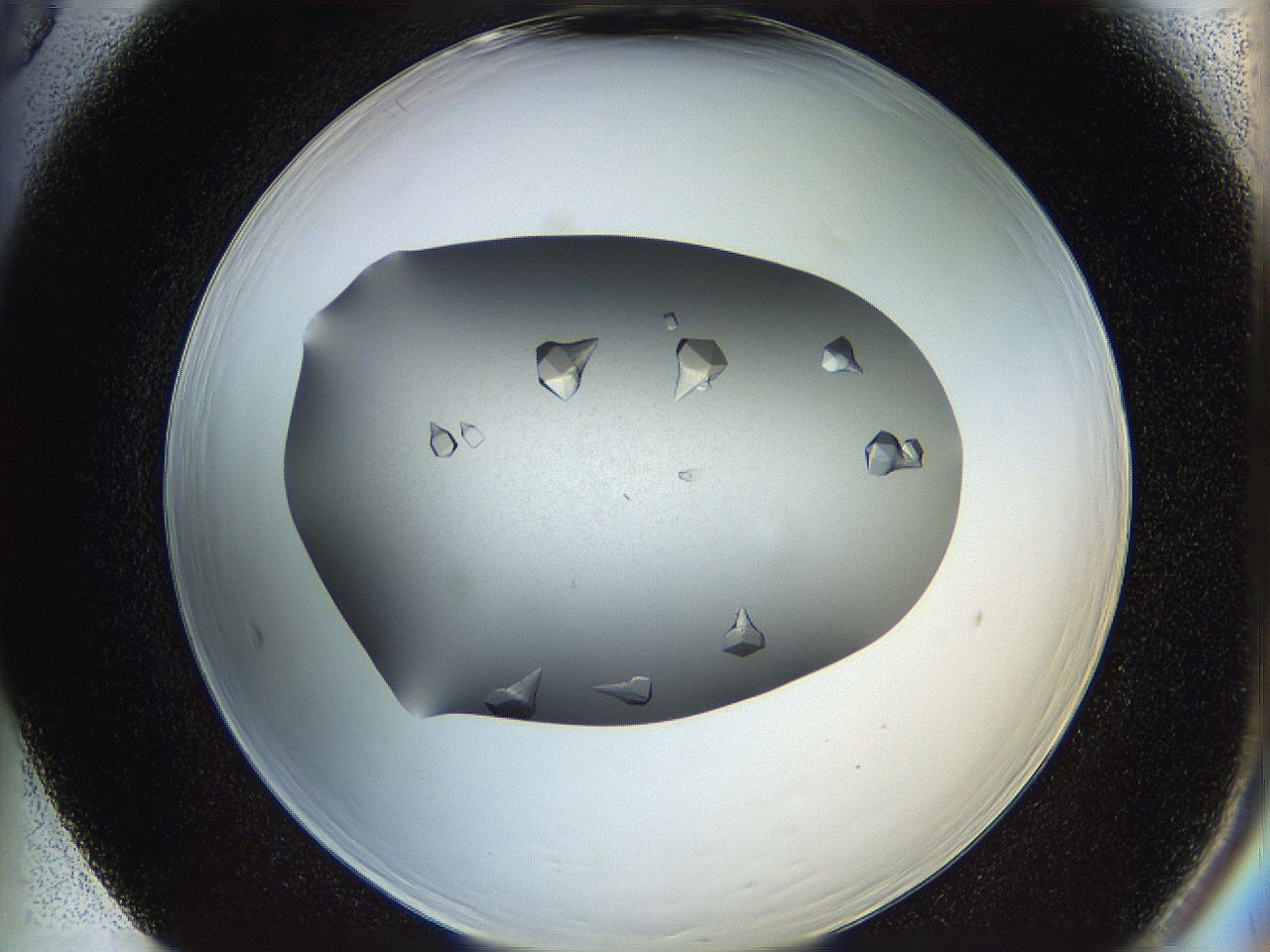 065z_F5_ImagerDefaults_9.jpg