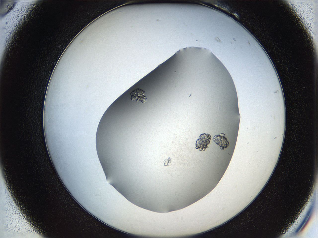 065z_B6_ImagerDefaults_6.jpg
