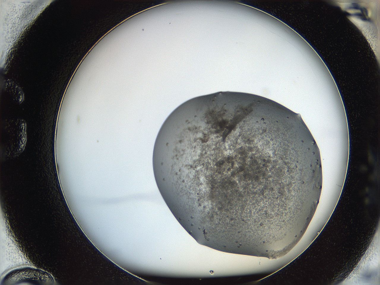 0669_G12_ImagerDefaults_9.jpg