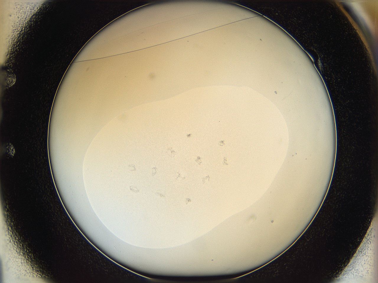 066e_E1_ImagerDefaults_9.jpg