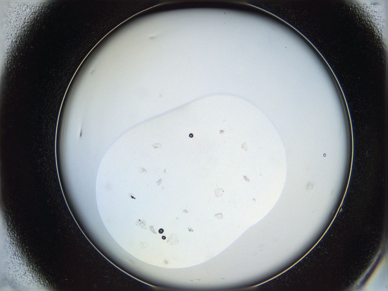 066e_A7_ImagerDefaults_6.jpg