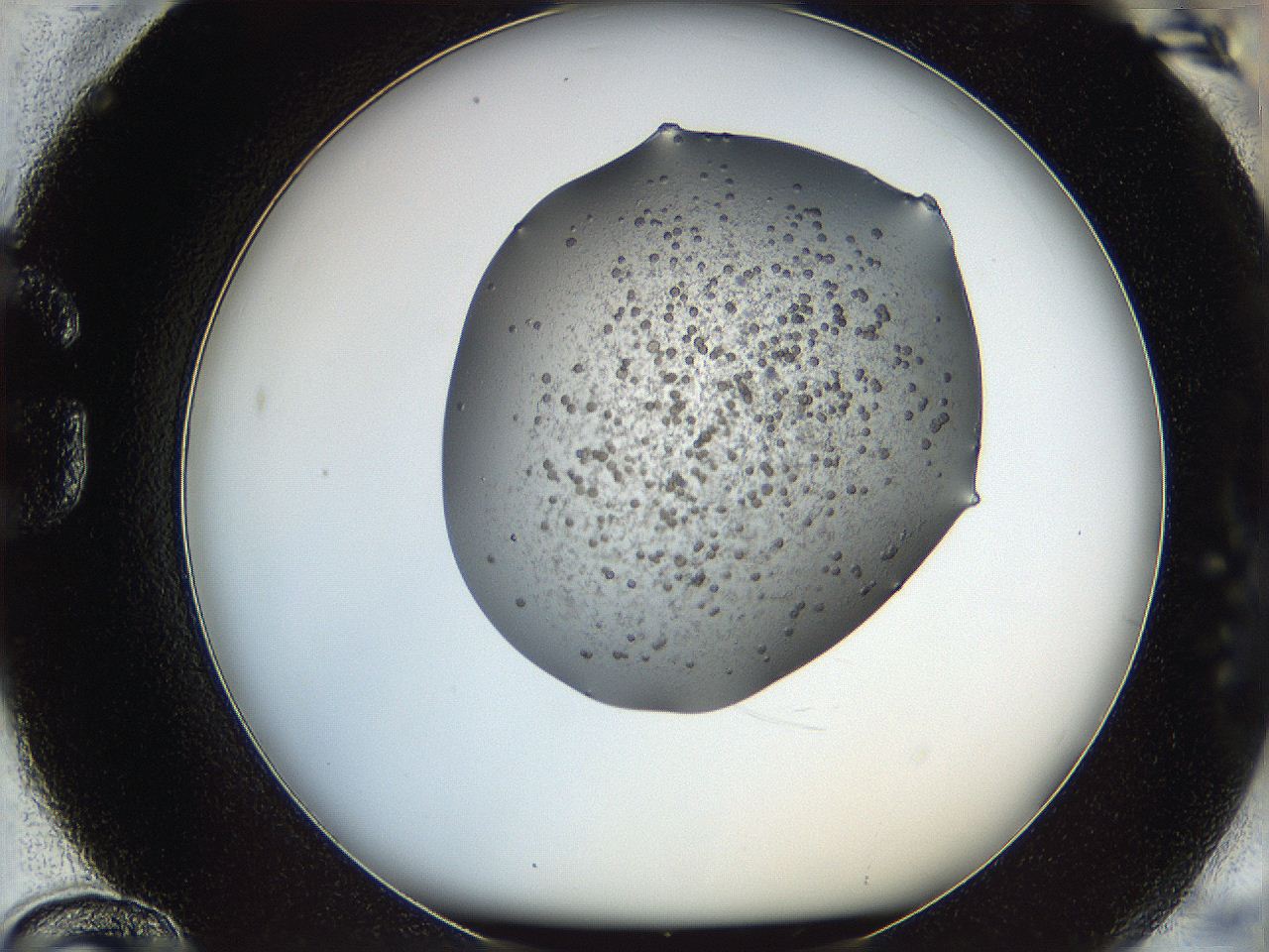 066g_G12_ImagerDefaults_5.jpg