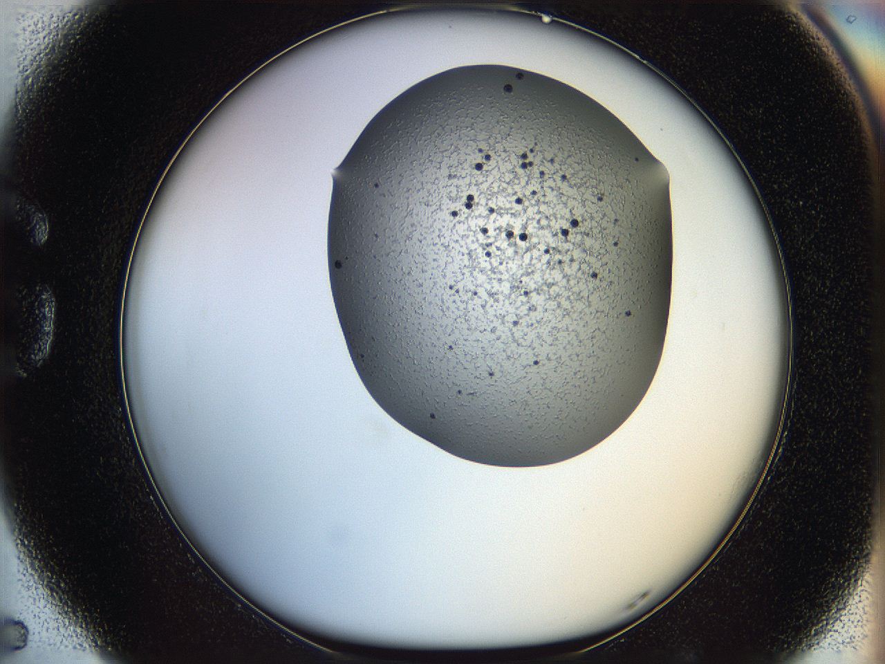 066g_G5_ImagerDefaults_6.jpg