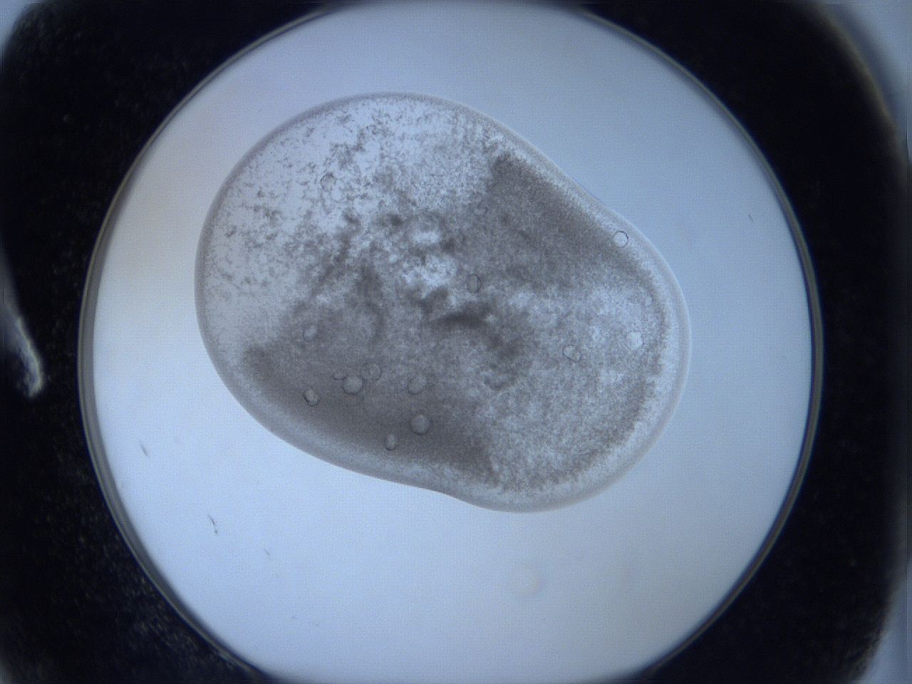 066h_A2_ImagerDefaults_9.jpg