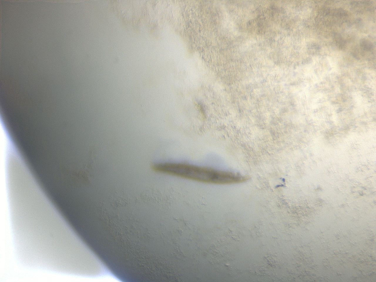 066q_A10_ImagerDefaults_7.jpg