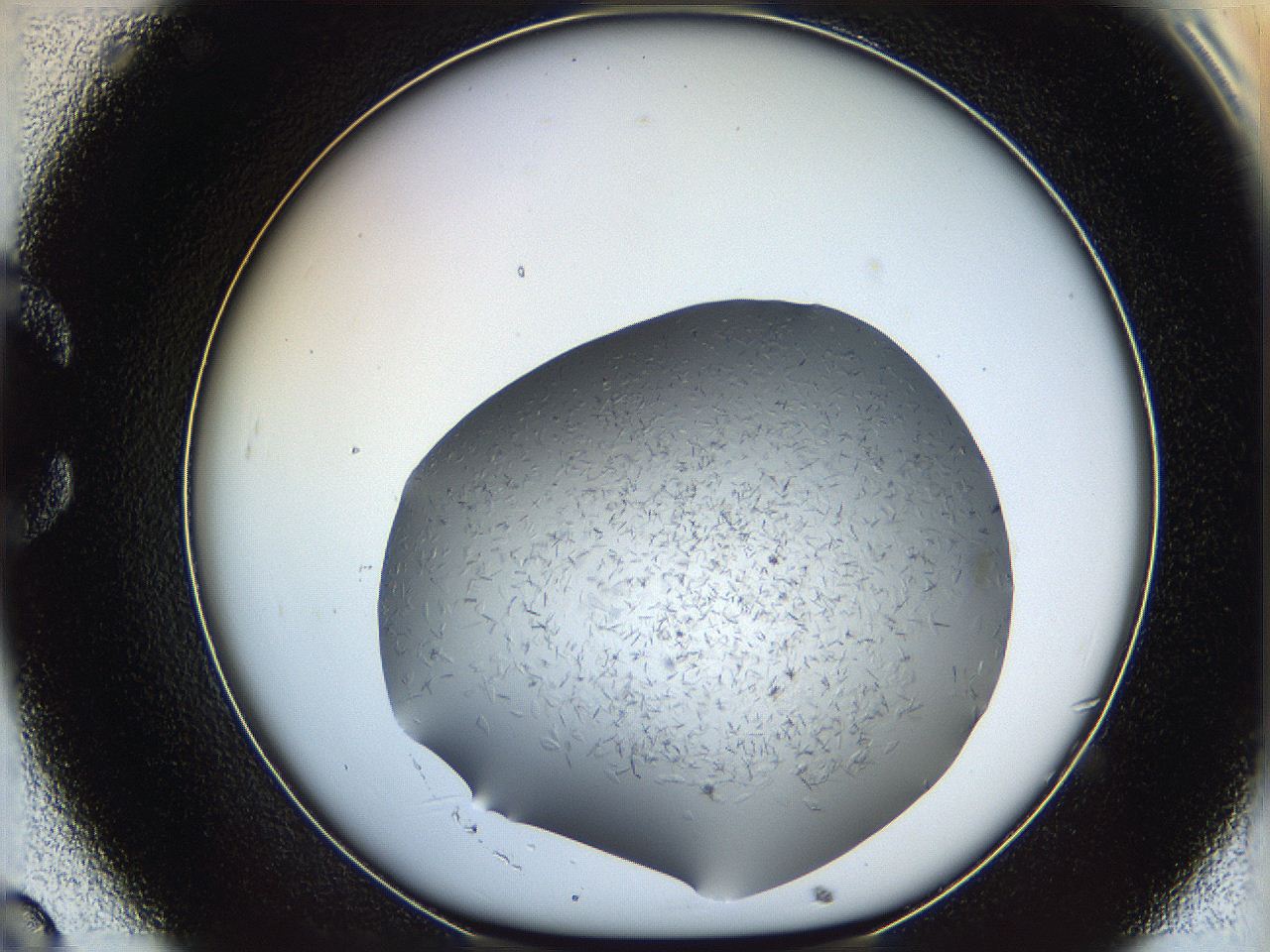 066q_C8_ImagerDefaults_7.jpg