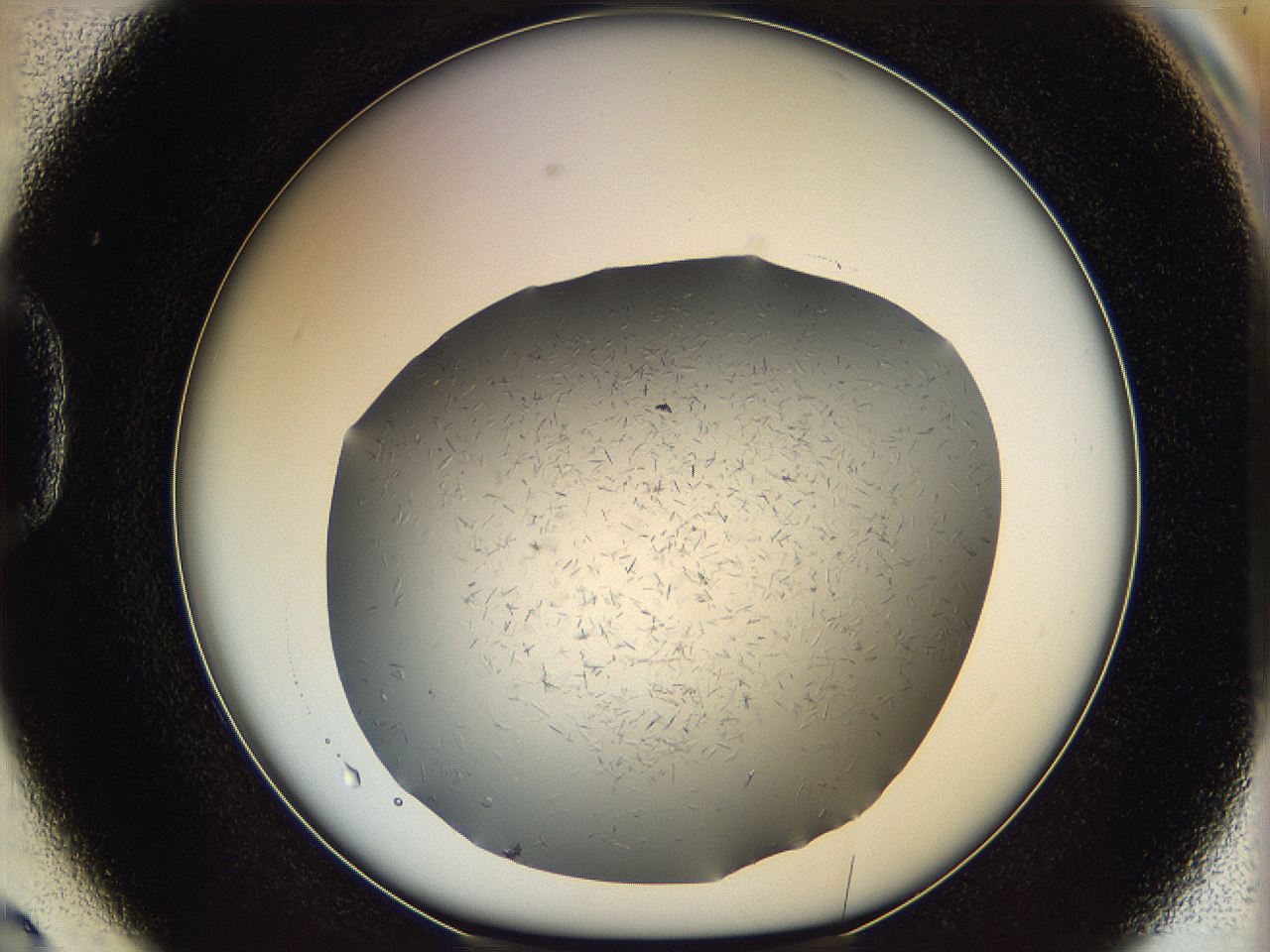 066q_D2_ImagerDefaults_7.jpg