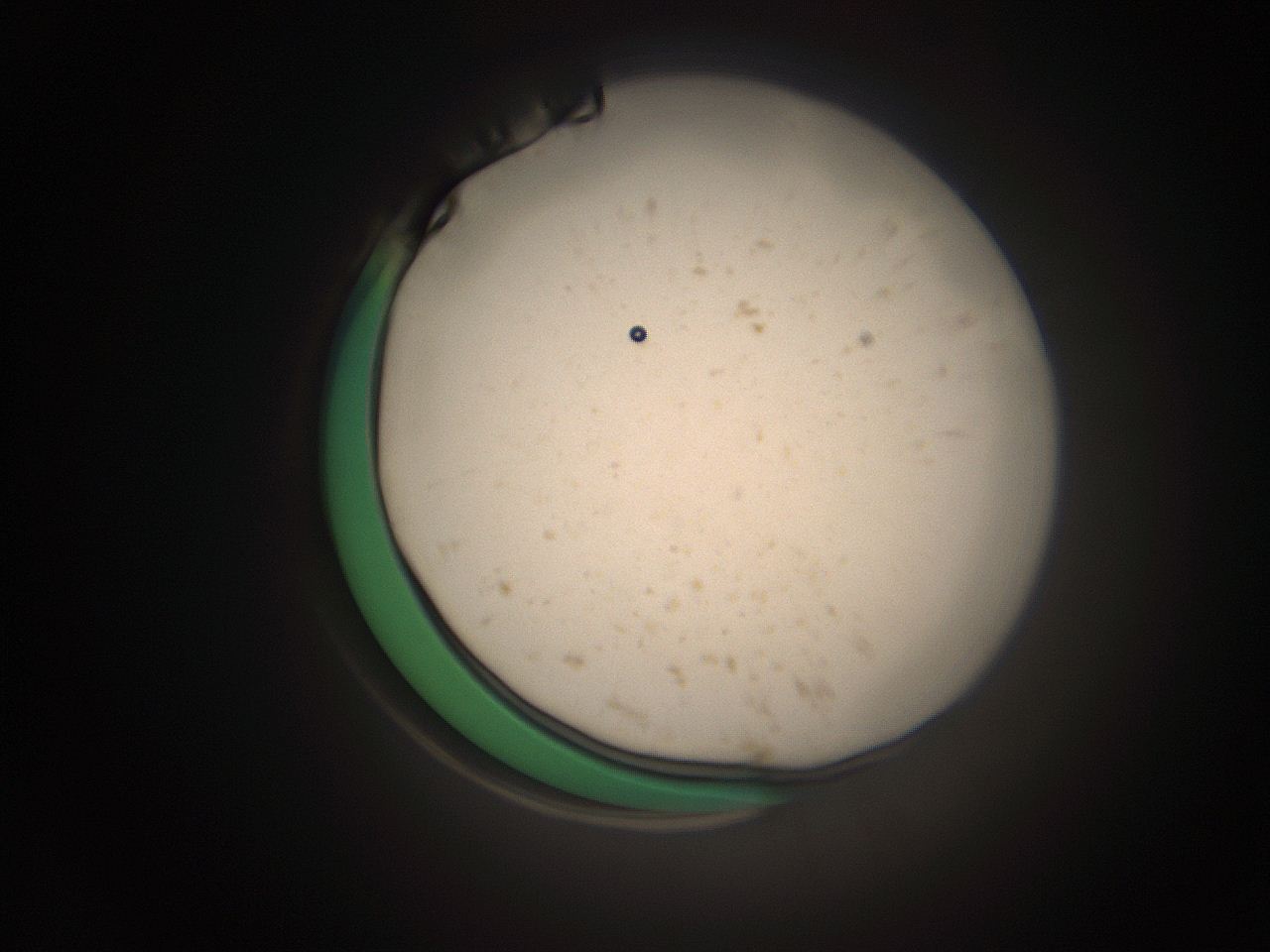 066s_A1_ImagerDefaults_9.jpg