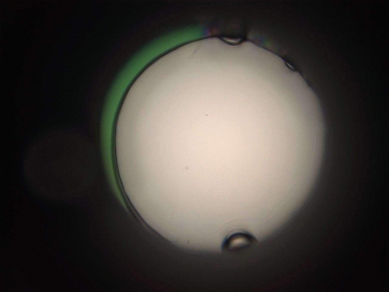 066s_A24_ImagerDefaults_1.jpg