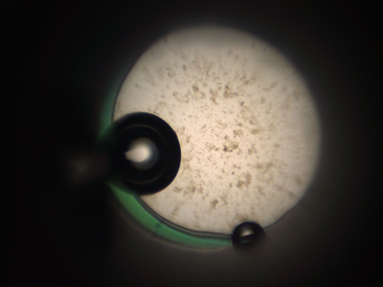 066s_C1_ImagerDefaults_9.jpg