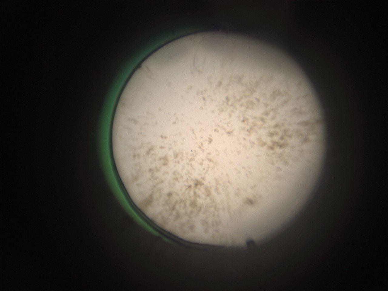 066s_C13_ImagerDefaults_9.jpg