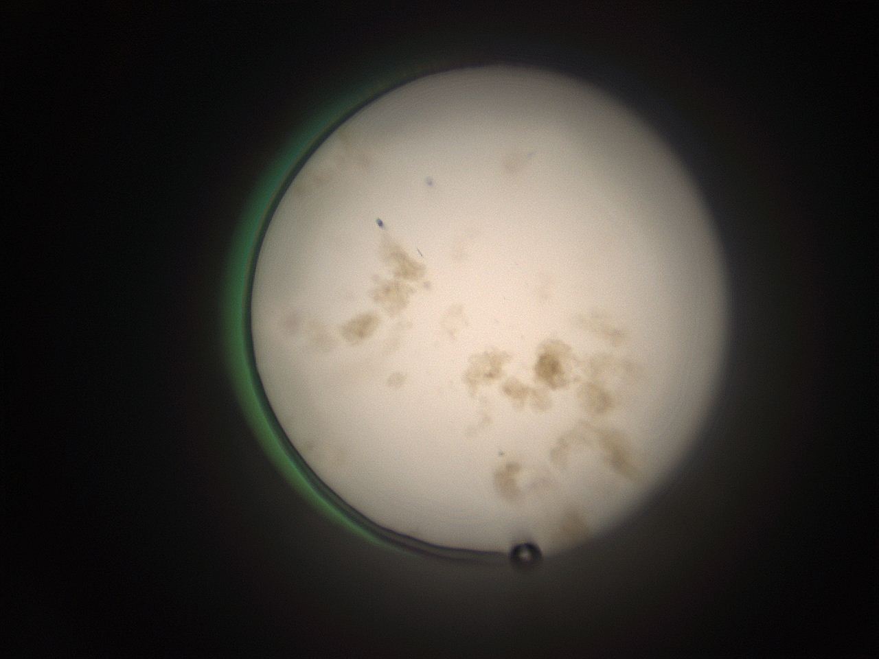 066s_D13_ImagerDefaults_9.jpg
