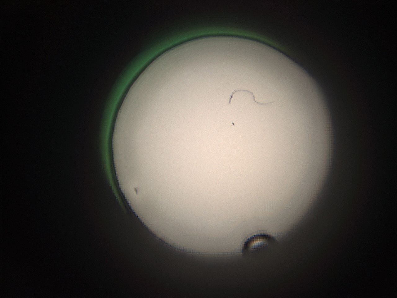 066s_D21_ImagerDefaults_1.jpg