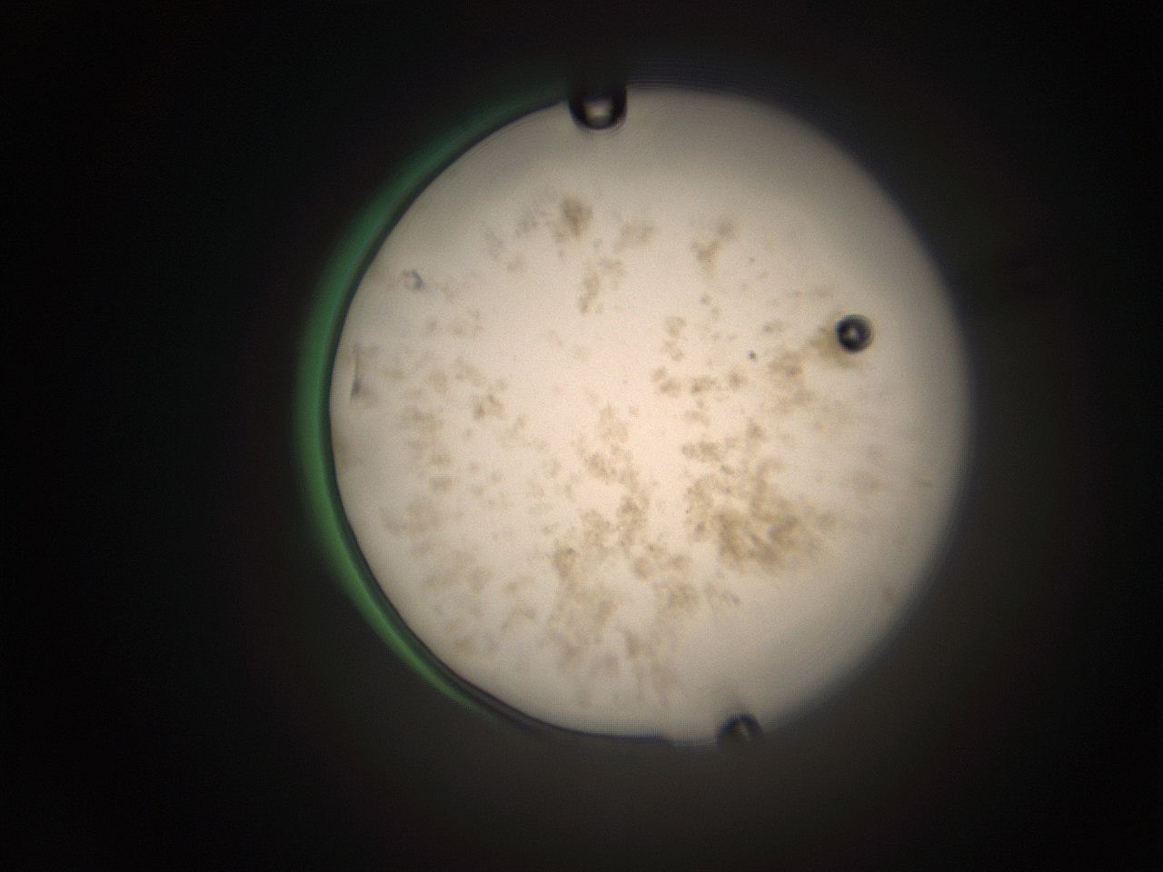 066s_E13_ImagerDefaults_9.jpg