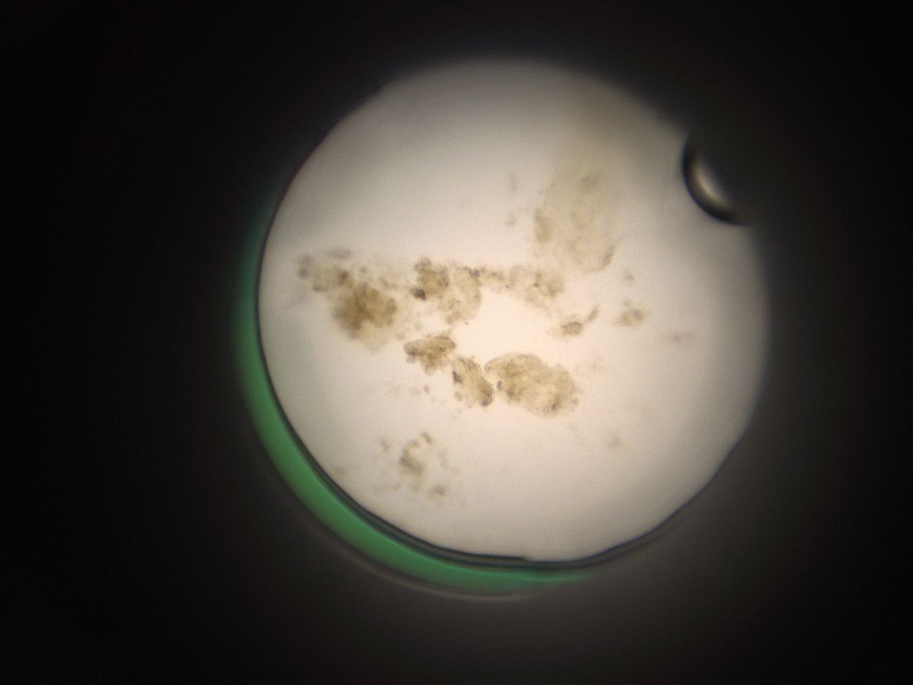 066s_F1_ImagerDefaults_9.jpg