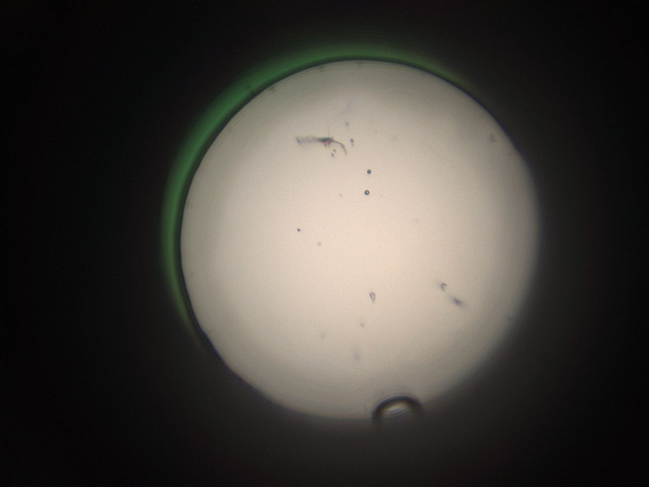 066s_F22_ImagerDefaults_1.jpg